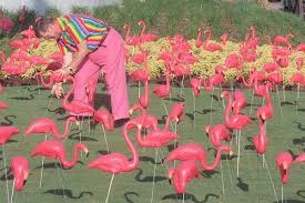 I Totally Plan On Having Flamingos In My Flower Garden When I Purchase A House Oh Yes Pink Flamingos Lawn Ornaments Plastic Pink Flamingos Flamingo Garden