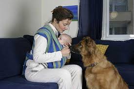 Wenn er leckt, ablenken, spielen zu sich rufen und schmusen. Hund Baby Geht Das Gut Herz Fuer Tiere De