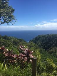 And the most famous of all, aunty sandy's banana bread stand. Aunty Sandy S Delicious Maui Banana Bread At Home Lexagator Loves
