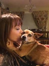 loss of beloved dog diesel