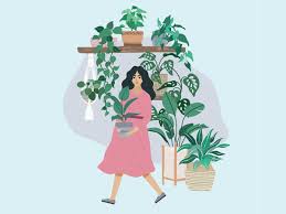 Inspired by an appreciation and fascination with all forms of visual culture, com Best Indoor Plants An Expert Guide For Houseplant Week 2021 The Independent