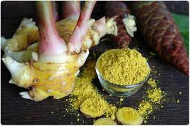 These vitamins play an important role in the. Ginger Health Benefits