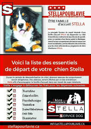 Famille d'accueil pour chien mira. Myriam Courbron On Twitter Etre Famille D Accueil Pour Stella Un Travail Essentiel A La Reussite De Notre Mission Chiendassistance Tspt Stellapourlavie Https T Co Zqlog8wxih