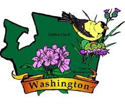 The tree has become threatened since. A To Z Kids Stuff Washington Facts For Children