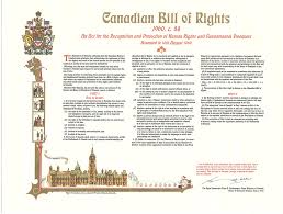 Large square 10 x 10 perfect bound, 80lb gloss Download Or Order The Canadian Charter Of Rights And Freedoms And The Canadian Bill Of Rights Canada Ca