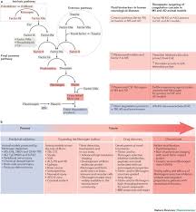 Image result for Fibrinogen