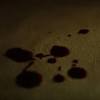 Blood on the dance floor. 1
