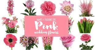 Not only are they beautiful and feminine, they're traditionally, pink roses are a symbol of love, grace and gentility, while red roses are a symbol of love. Pink Wedding Flowers Archives Confetti Daydreams Wedding Blog