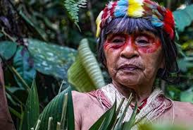 Block 43 and Climate Democracy