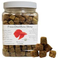 Enriching your brine shrimp is a simple process. Freeze Dried Brine Shrimp 3 Oz