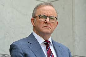 Billionaire Harvey Norman boss's brutal blast at Anthony Albanese and  nation's top politicians: 'Get a REAL job!'