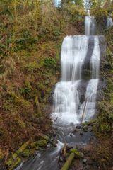 Check spelling or type a new query. Mcdowell Creek Falls Loop Hike Hiking In Portland Oregon And Washington