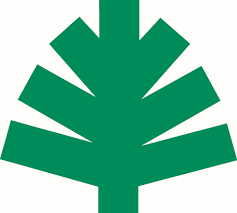 Image result for Poecilostachys oplismenoides