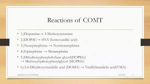 Image result for COMT Inhibitor