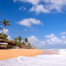 Die saison startet im november und endet im april. Die 12 Schonsten Strande Auf Sri Lanka Urlaubstracker