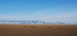 From wikipedia, the free encyclopedia the 2020 kazakhstan premier league was the 29th season of the kazakhstan premier league, the highest football league competition in kazakhstan. The New Silk Road In Kazakhstan Roadstars