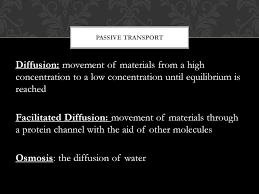 Feedback What Is A Feedback Mechanism A Stimulus Hunger Pain Cold Fear Etc Causes An Organism To React To Maintain Homeostasis Example You Eat Ppt Download