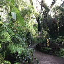 See more of botanischer garten der universität ulm on facebook. Photos At Botanischer Garten In Neuenheimer Feld 343