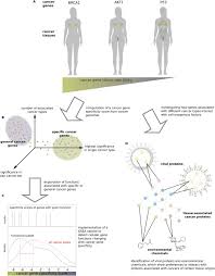 Cancer cells, and how they grow, remain unpredictable and in some cases mysterious. Cell Type Specific Properties And Environment Shape Tissue Specificity Of Cancer Genes Scientific Reports