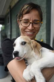 New spay, neuter voucher program in Walker County launches to decrease  strays