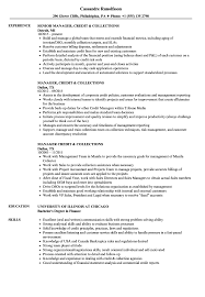 manager, credit & collections resume