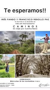 Image result for Dolichos pseudocajanus