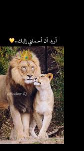 اسد لبوه حب Cute Baby Boy Outfits Cute Baby Boy Baby Boy Outfits