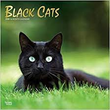 We offer a wide variety of calendar style and sizes just right for your wall, desk, or purse! Black Cats 2020 Square Wall Calendar Amazon Co Uk Browntrout Publishers Ltd 9781975406585 Books