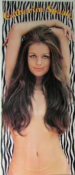 Belçikalı spaak siyasi ailesinin bir üyesidir. Who Is Catherine Spaak Dating Catherine Spaak Boyfriend Husband