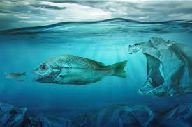 How big can ocean get? World Environment Day 2021 Here S Why We Need To Conserve Oceans