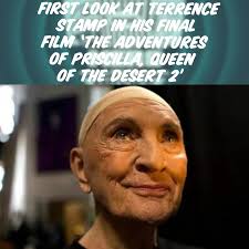 Terrence Stamp's Final Film: A Fresh Adventure for the Iconic Drag Queens