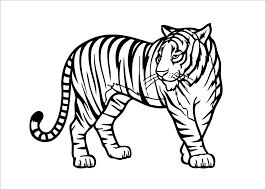 Tiger head in center of circular elegant drawing. Tiger Coloring Pages For Preschool Coloringbay