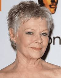 The pixie haircut is layered and razored, which can create a messy look and is cool for women who want to cover gray hair. 60 Exemplary Short Hairstyles For Women Over 50 With Thin Hair
