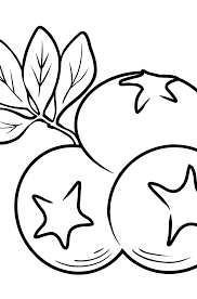Momma and baby bear coloring page i can count blueberries work page i can compare blueberries work page. Blueberry Coloring Page Online And Print Free