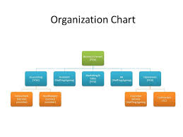 Small Business Organizational Structure Yahoo Image Search