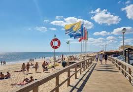 Image result for Faroa duvigneaud