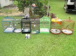 Door to door, drop off, delivery, self collect. Jabatan Perhilitan Semenanjung Malaysia Pasukan Penguatkuasaan Perhilitan Negeri Sembilan Telah Menahan Seorang Lelaki Warga Indonesia Di Kg Ulu Bendul Terachi Kuala Pilah Negeri Sembilan Pada 9 Ogos 2017 Kerana Didapati Menyimpan