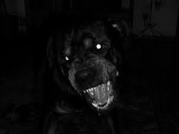 Pin By Addison West On Collages Scary Dogs Angry Dog Aesthetic Angry Animals