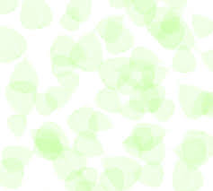 Create your next presentation with one of these white powerpoint templates and google slides themes.white is a neutral color and there is a misconception that can be boring, however, designs that use white color appear clean and simple. 1000 Plain White Background Images Free Download Vector Png