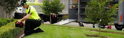 Find local 565 lawn mowing service in north east melbourne. Lawn Mowing Sydney Garden Services Sydney Fox Mowing