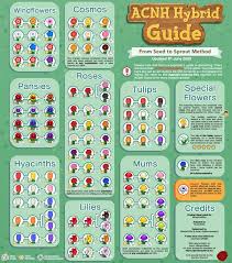 Updated Flower Breeding Guide Acnhgardening In 2020 Flower Guide Animal Crossing Guide Animal Crossing