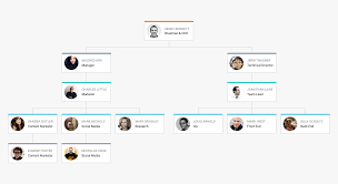 Responsive Organization Chart Html Css Www