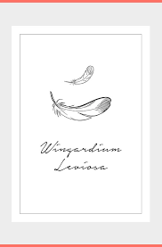 Affiche Harry Potter Wingardium Leviosa Anniversaire Theme Harry Potter Formule Magique Harry Potter Anniversaire Harry Potter