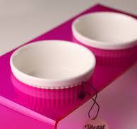 Acrylic Pet Feeder