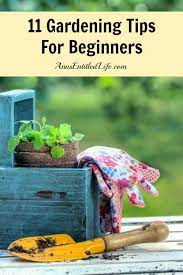 Get advice from martha stewart and her gardener, ryan, on vegetable gardening, including prepping the soil, preparing the beds and planting the seeds. 11 Gardening Tips For Beginners