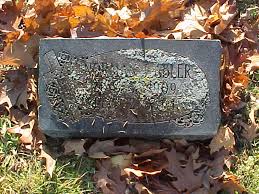 WIGenWeb Project ~ a proud part of the USGenWeb Project