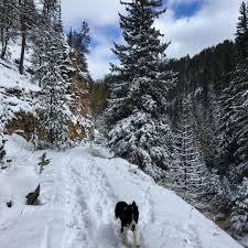 Homes for rent in rapid city are. Adventure In Rapid City And The Black Hills Doesn T Slow Down When The Snow Hits Rapid City City Winter City
