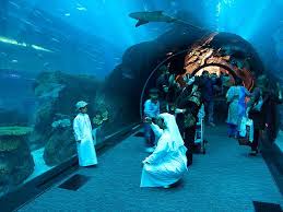 Dubai Mall Aquarium Tunnel Dubai Mall Dubai Travel Aquarium Pictures