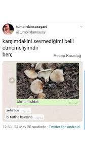 Hayrunnisa Yildirim Adli Kullanicinin Instagram Post Panosundaki Pin 2020 Komik Seyler Tumblr Eglence Havali Seyler