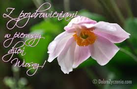 21 marca klasy 1a i 1b świętowały nadejście wiosny. Z Pozdrowieniami W Pierwszy Dzien Wiosny Plants Flowers Rose